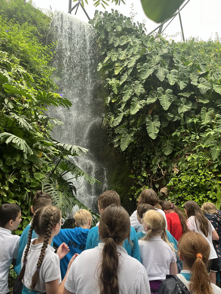 Bude Primary Academy - Juniors tweet media