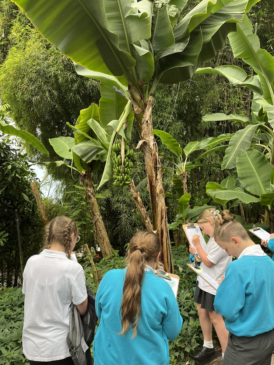 Bude Primary Academy - Juniors tweet media