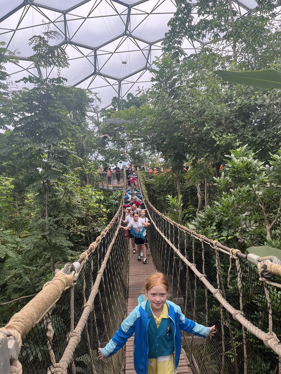 Bude Primary Academy - Juniors tweet media