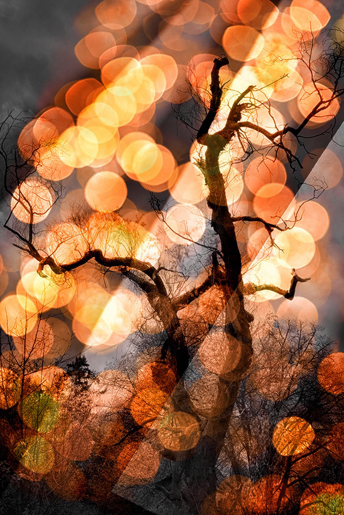 Sam_Alexandra23's tweet photo. Hi Gang! Today's challenge is #Fantasy Thursday through #MultipleExposures or #Composite #Photography. All parts of the image must be your own, not using stock images and NO AI images. Have a great day! ๐1.Flower Royalty 2.Mood Shades 3.Lucifer's Dream 4.Fantasy Garden.๐ธ๐จ๐ฆ https://t.co/KhAxNeFQFy