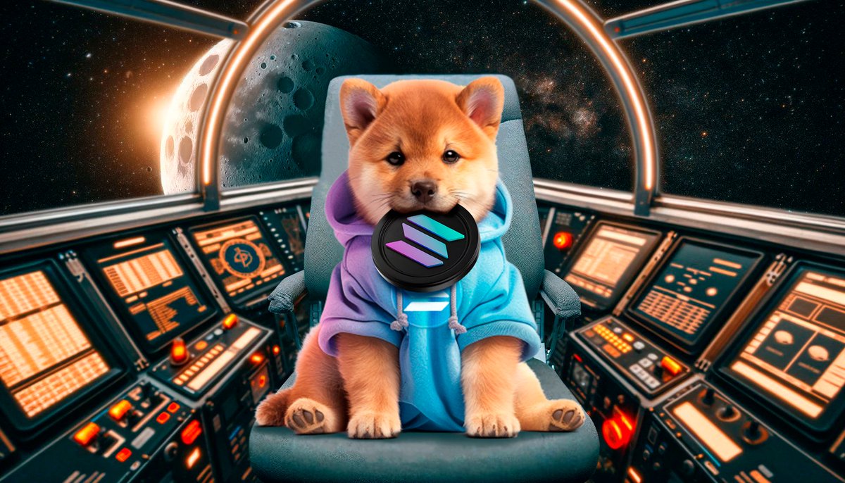 DOGINU tweet media