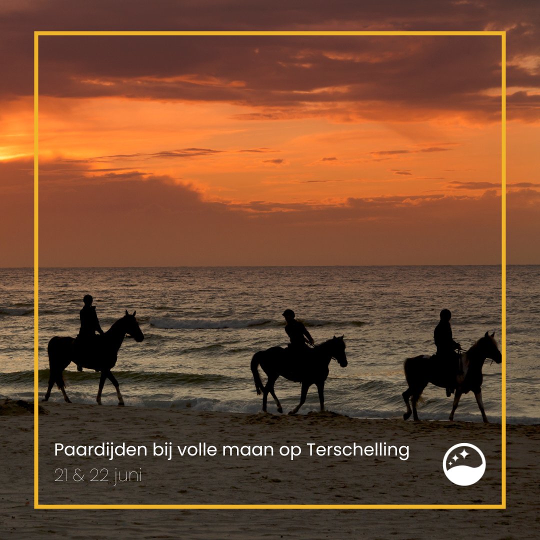 Volgende week wordt het weer voorzichtig iets zomerser. Een mooi moment om te #paardrijden bij volle maan op #Terschelling 🌕 
Bekijk deze en andere nachtactiviteiten via nachtvanhetwad.nl/activiteiten
