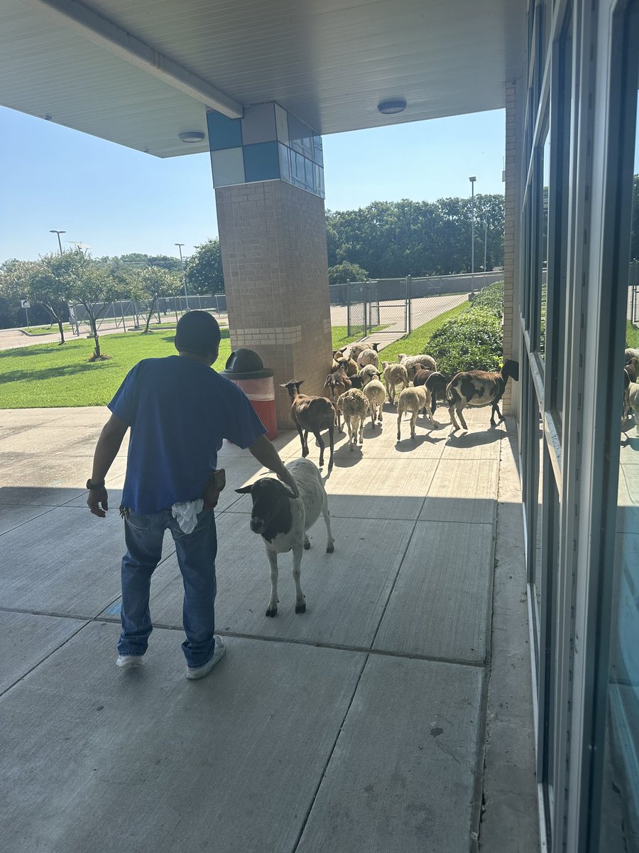 Tevin Lloyd, M.Ed tweet media