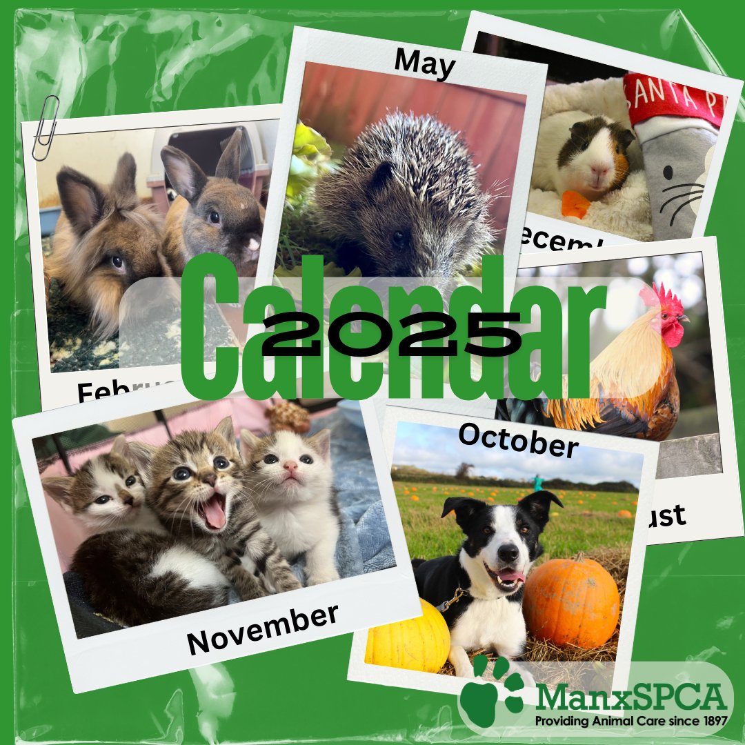 ManxSPCA tweet media