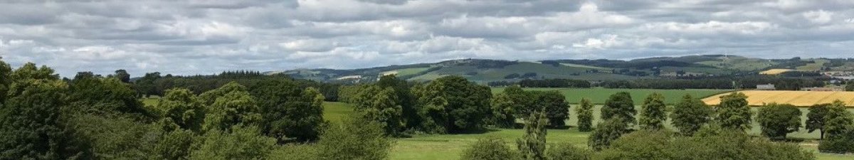 Emma Cooper tweet media