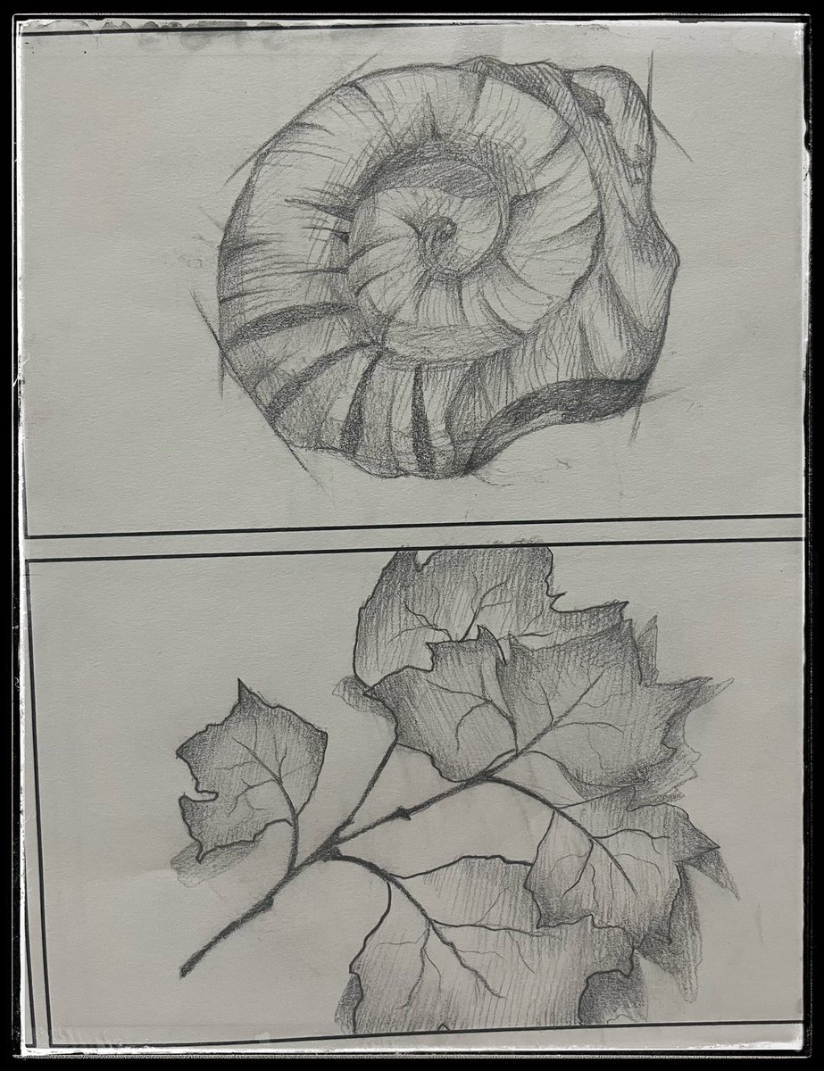 Year 10 art students <a href="/NewmanRCCollege/">Newman Catholic College</a> took the opportunity to draw from and photograph exhibits at the Manchester Museum 🎨 <a href="/MrMcmylor/">MrMcmylor</a>