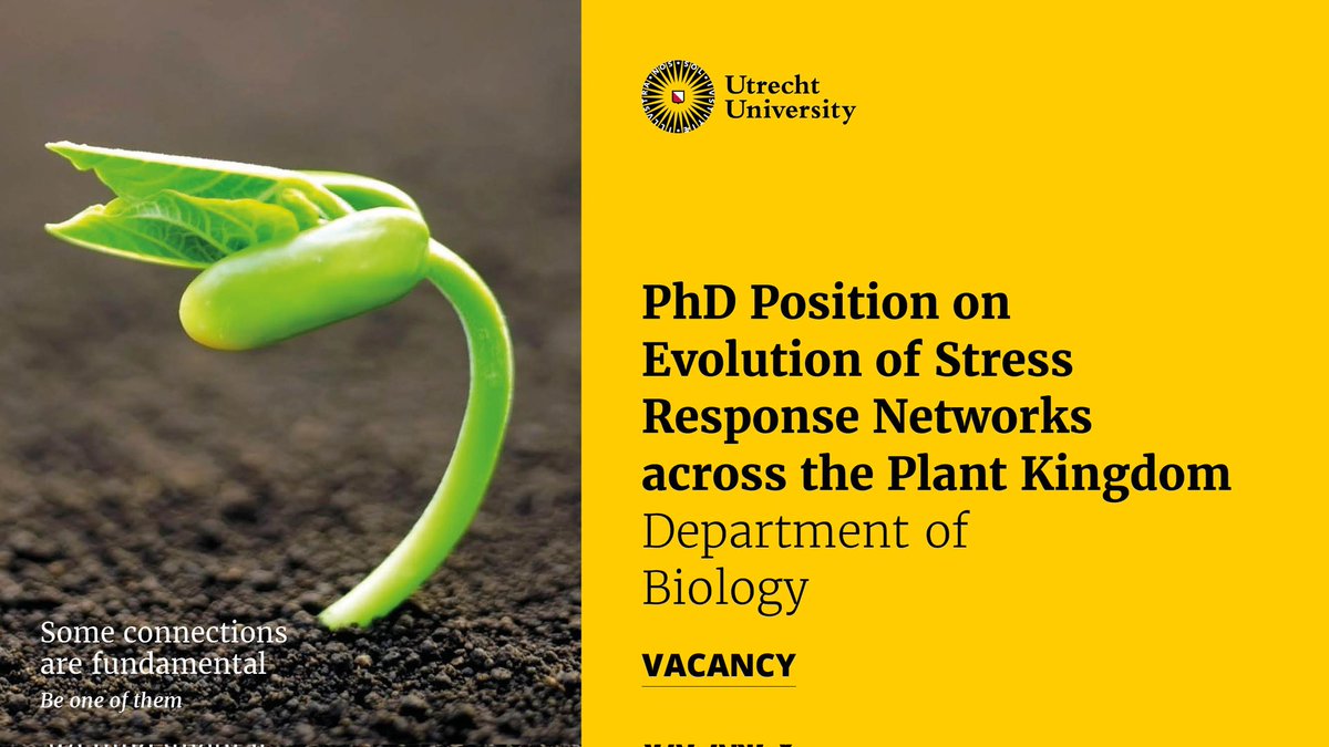 Please share!

We are recruiting a PhD student to join us in the <a href="/cropxr/">CropXR</a> consortium to research the evolution of stress response networks in plants.

More information, and application link, here:
uu.nl/en/organisatio…