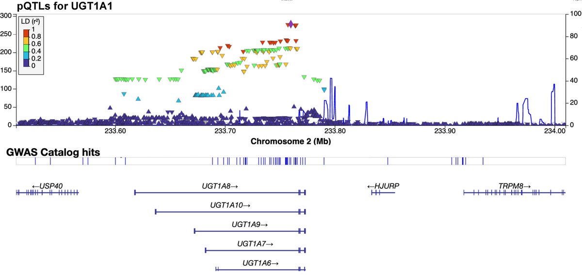 Diabetes, a research journal of the ADA 🧪 (@diabetes_ada) on Twitter photo Findings from multi-ancestry GWAS of fructosamine & glycated albumin: multi-trait analyses, ancestry-specific, sex-specific, aggregating rare exomic variants
<a href="/DrDebashreeRay/">Debashree Ray</a> <a href="/priya4genes/">Priya Duggal</a> <a href="/LizSelvin/">Liz Selvin</a> <a href="/nilanjan10c/">Nilanjan Chatterjee</a> <a href="/JohnsHopkinsEPI/">Johns Hopkins Epidemiology</a> <a href="/ADA_Pubs/">ADA Professional Publications</a>
Read Here➡️doi.org/10.2337/db23-0… Findings from multi-ancestry GWAS of fructosamine & glycated albumin: multi-trait analyses, ancestry-specific, sex-specific, aggregating rare exomic variants
<a href="/DrDebashreeRay/">Debashree Ray</a> <a href="/priya4genes/">Priya Duggal</a> <a href="/LizSelvin/">Liz Selvin</a> <a href="/nilanjan10c/">Nilanjan Chatterjee</a> <a href="/JohnsHopkinsEPI/">Johns Hopkins Epidemiology</a> <a href="/ADA_Pubs/">ADA Professional Publications</a>
Read Here➡️doi.org/10.2337/db23-0…