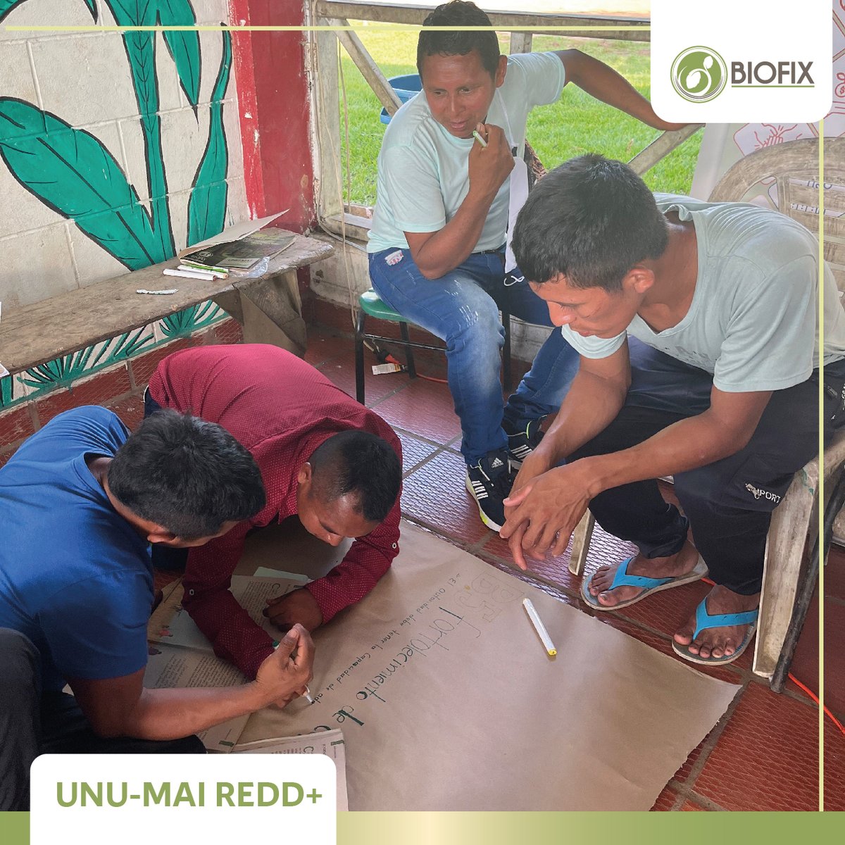 BIOFIX2's tweet photo. ¡Qué experiencia tan enriquecedora en Guanía, Inírida, con el proyecto UNU-MAI! 💫 Realizamos un taller de salvaguardas y rendición de cuentas, donde compartimos conocimientos y fortalecimos la colaboración. https://t.co/uL9lVpUULO
