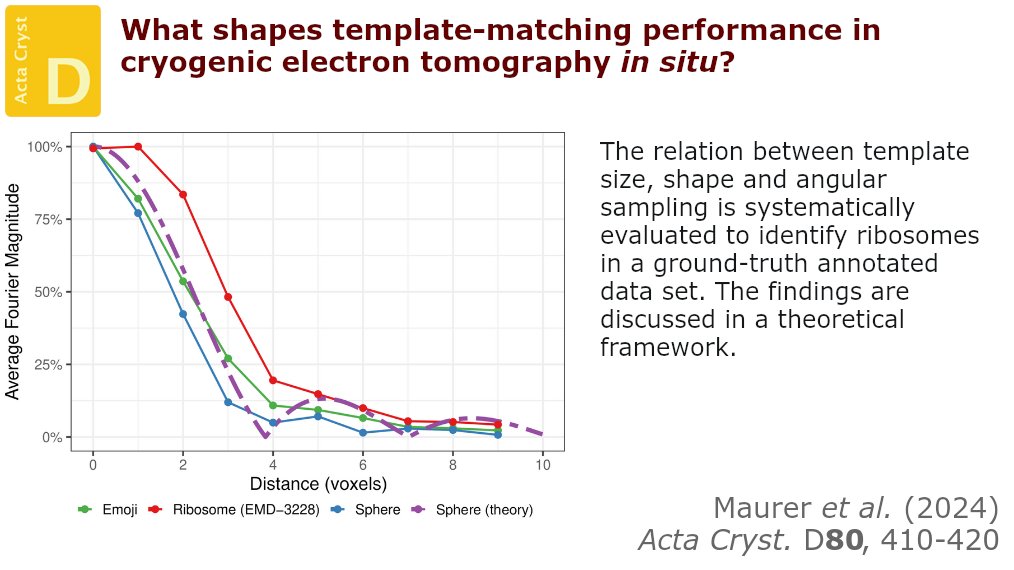 ActaCrystD's tweet photo. The pitfalls of 3D template matching with the commonly used four-times binned tomograms are investigated and the observed issues are rationalized. @ActaCrystD @IUCr #CryoElectronTomography #TemplateMatching #ComputerVision https://t.co/uZ3BQGF0u8 https://t.co/43ByTveWRl
