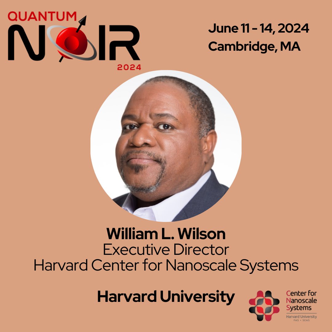 Quantum Noir tweet media