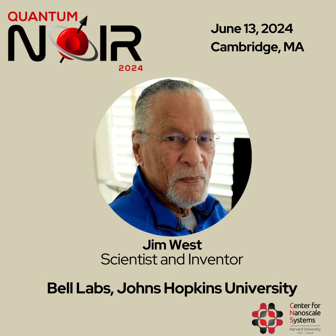 Quantum Noir tweet media