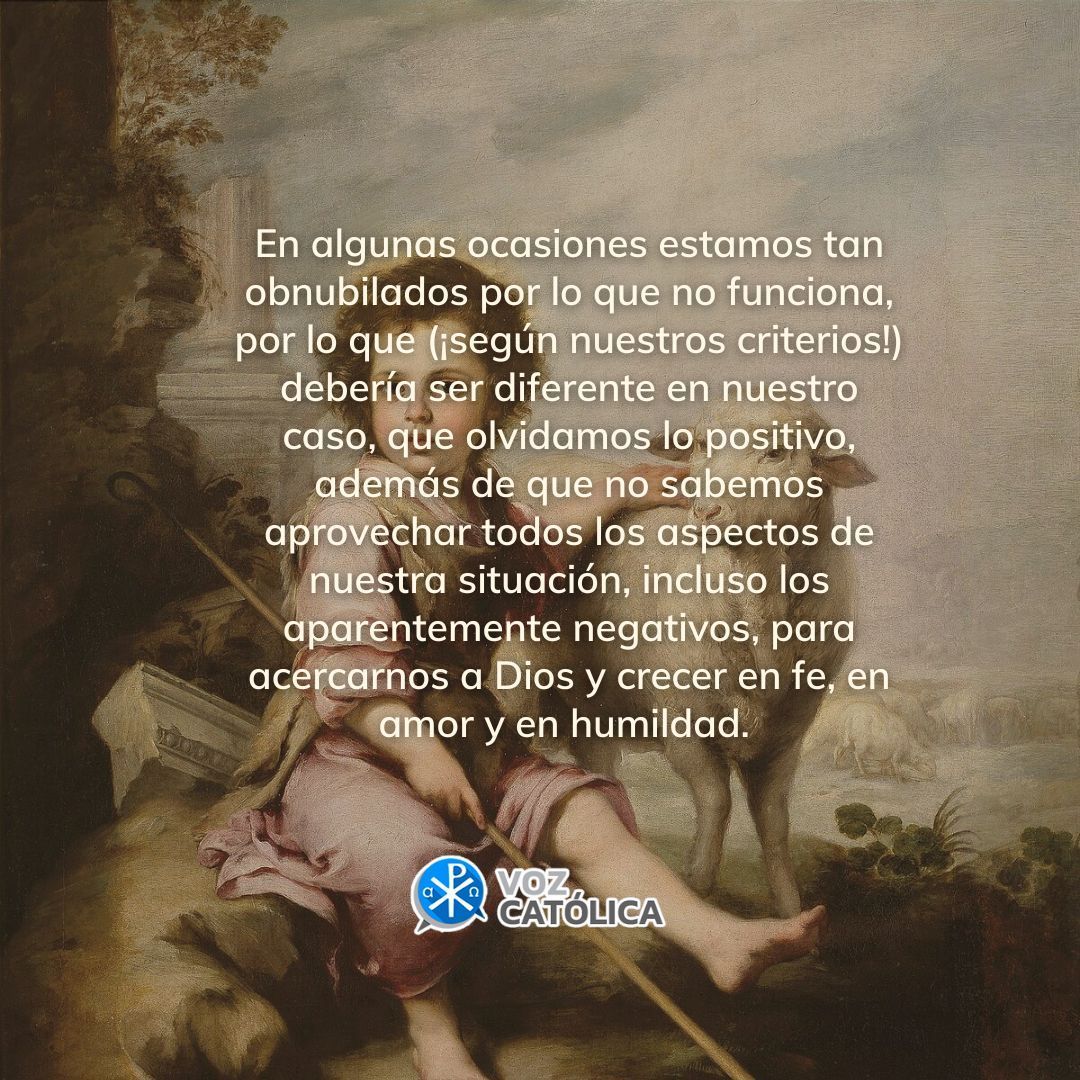 Voz_Catolica's tweet photo. El Señor es mi pastor, nada me falta! Hagamos nuestra esta frase.
#buenpastor #nadamefalta #solodios #mipastor #amor #catolico https://t.co/SzlqsJ2IB6