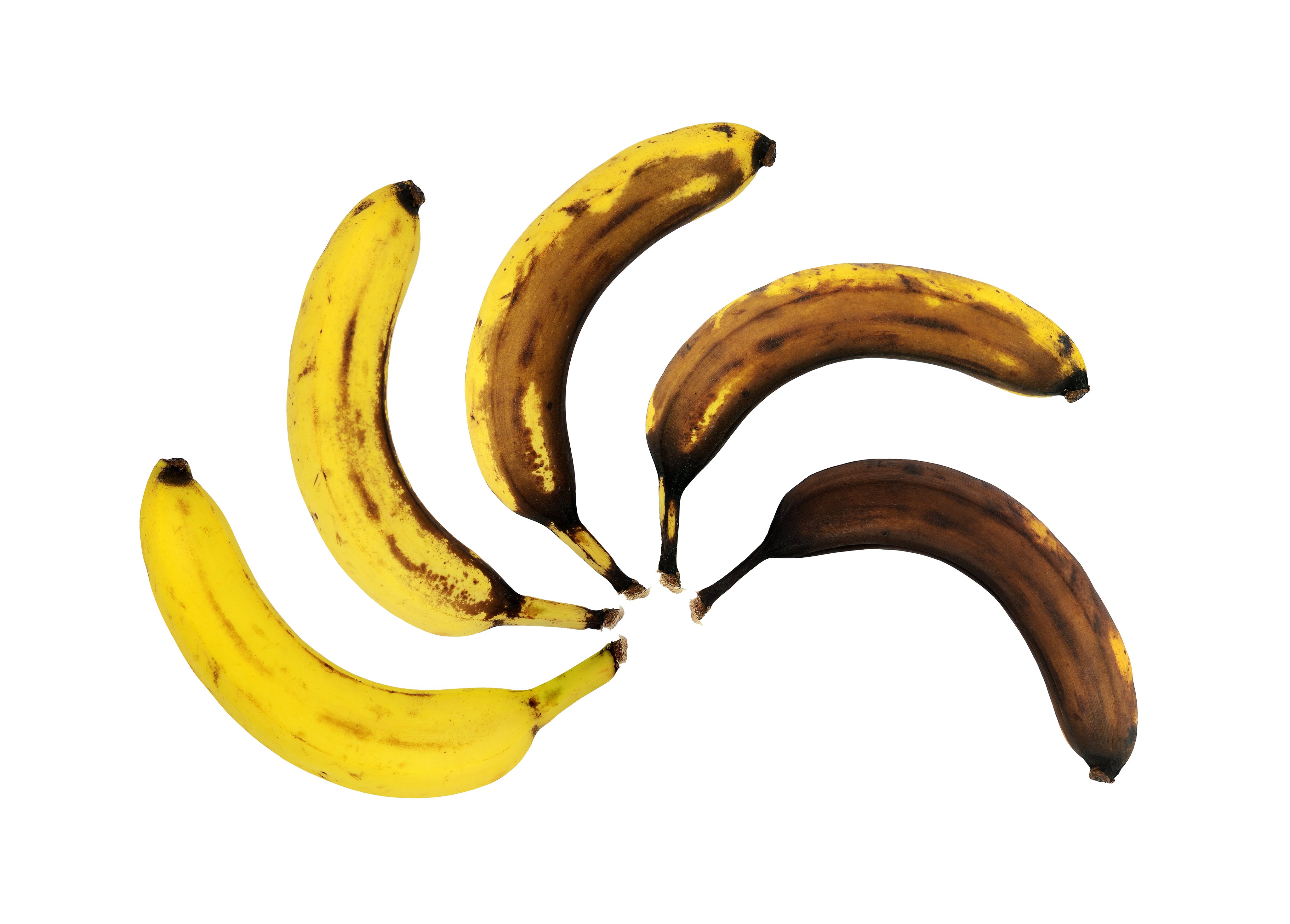 Forest Products Laboratory on X: "Brown bananas, be gone! A #NewPublication  from #ForestProductsLab shows that coatings made from microfibrillated  cellulose may extend the shelf life of bananas. #Nanocellulose  #WoodEngineering Read more at