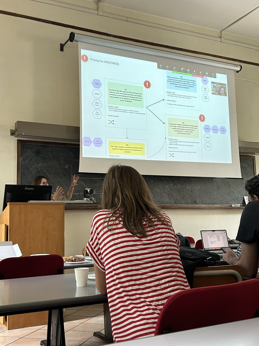 ECOGEN lab (@ecogencibio) on Twitter photo ECOGEN members <a href="/raquelgodinho8/">Raquel Godinho</a> and <a href="/DianaLobo90/">Diana Lobo</a> are at the mid-term meeting of <a href="/BiodiversaPlus/">Biodiversa+ (European Biodiversity Partnership)</a> project WOLFNESS in Rome to present the progress of WP #wolves #hybridization #europeanprojects #biodiversa #biopolis ECOGEN members <a href="/raquelgodinho8/">Raquel Godinho</a> and <a href="/DianaLobo90/">Diana Lobo</a> are at the mid-term meeting of <a href="/BiodiversaPlus/">Biodiversa+ (European Biodiversity Partnership)</a> project WOLFNESS in Rome to present the progress of WP #wolves #hybridization #europeanprojects #biodiversa #biopolis