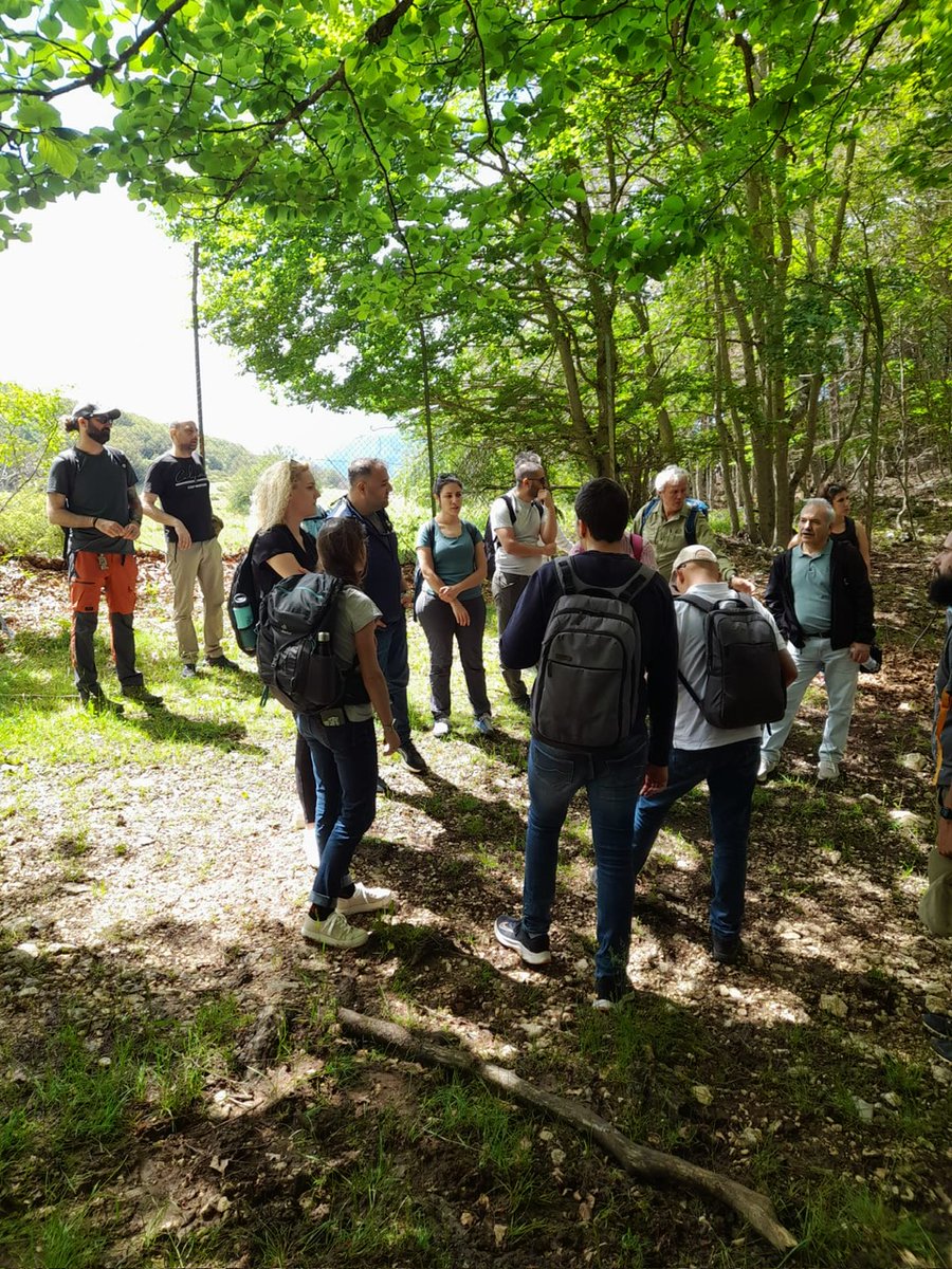 StrategyMedFor tweet media