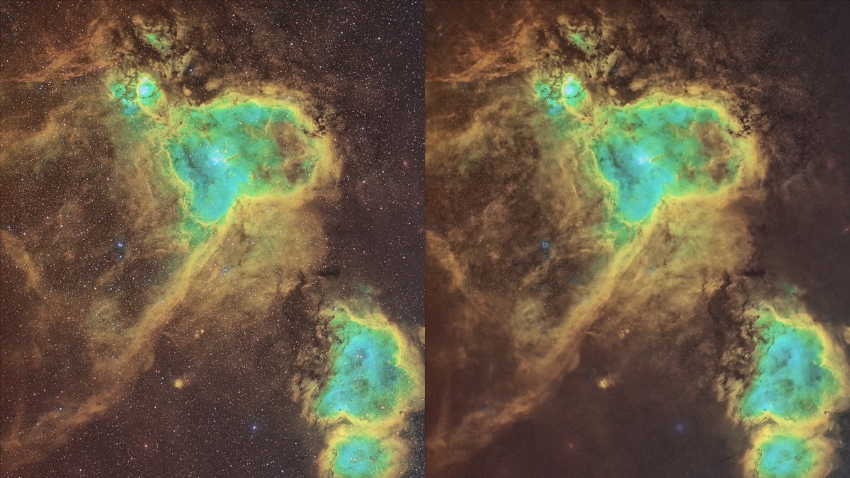 James Ritson tweet media