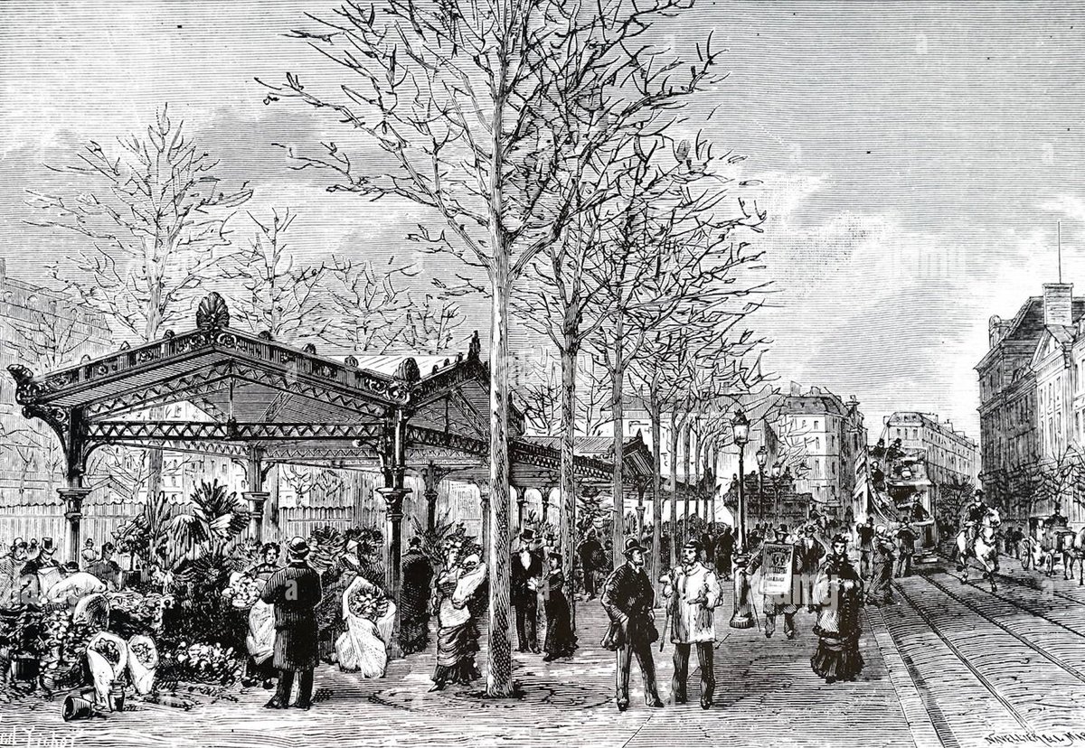 🐮 Préaux destinés aux promeneurs en cas de pluie, ces « vacheries anglaises » n’ont jamais protégé aucune vache et ne sont point britanniques. 
Nos #terrasses s’en inspirent 👇 

Gravure du 19e représentant le marché aux fleurs de Paris, place de la République.