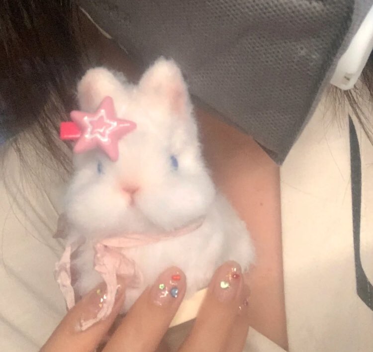 sapphistkoo's tweet photo. 🐰⭐💗 https://t.co/xbeukqCIF1