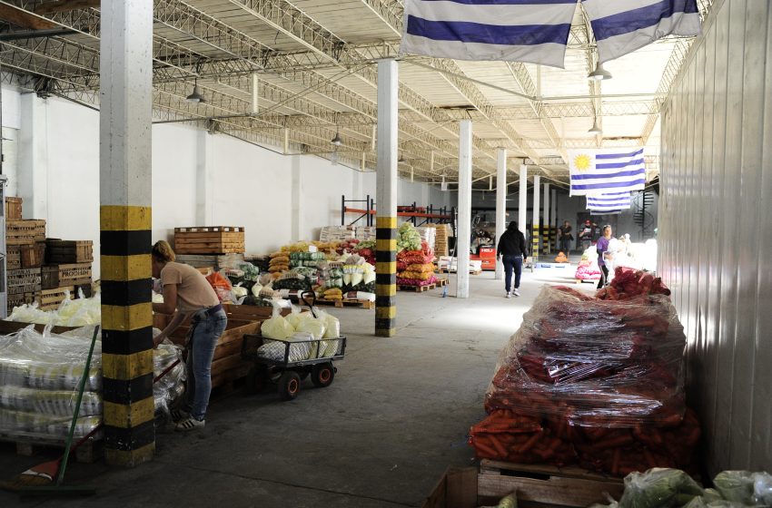 Asinosva850's tweet photo. La “doble caja” de Uruguay Adelante: cómo la ONG elegida por el gobierno manejó $ 332 millones del Estado durante la crisis del Covid – PARTE UNO

🔊Escuchá el informe completo de @PatriciaJMadrid

https://t.co/W6whQLbvHX https://t.co/M0d9KXpaMX