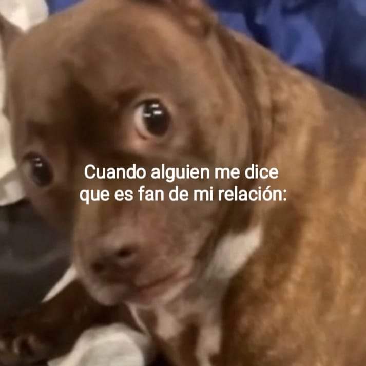 FelipeRonben's tweet photo. 🤨🤨 https://t.co/ZMwXTledTA