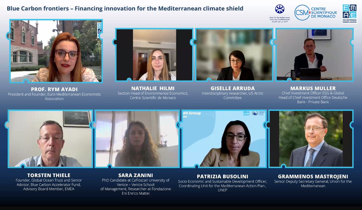 "Valuing and protecting the Mediterranean's unique ecosystems through blue carbon initiatives is not just an environmental imperative but a vital investment in our shared future" Prof <a href="/rym_ayadi/">Rym Ayadi</a> at the <a href="/EMEAorg/">Euro-Mediterranean Economists Association - EMEA</a>  webinar “Blue Carbon frontiers"