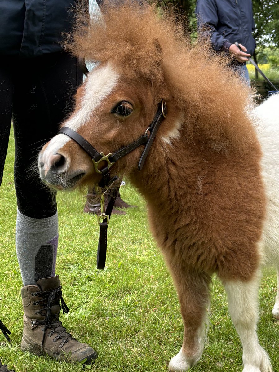 Come to <a href="/BegbrokeScience/">Begbroke Science Park</a> they said, there will never be a dull moment. They were right!
