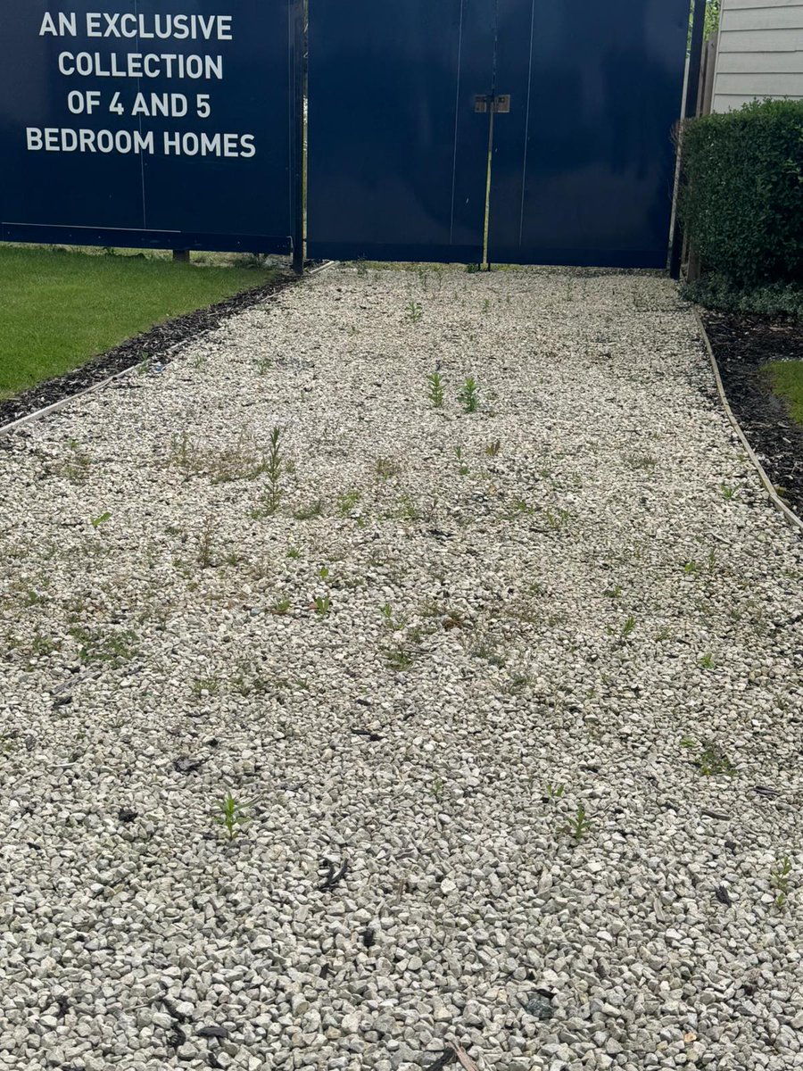 baines_ltd's tweet photo. I'm sure those weeds grow overnight 😁   Job done. 💪🏼

#weedclearing #gardenmaintenance #showhomes #propertymaintenance https://t.co/92iAS0hNq3