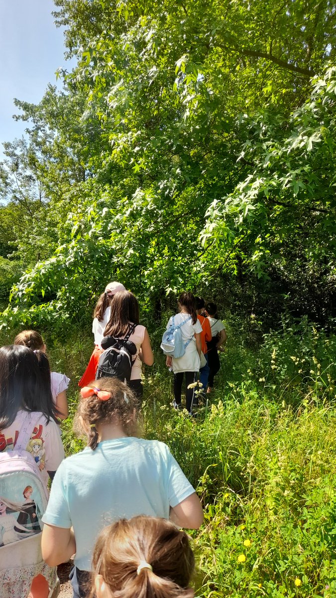 SalvemosORural's tweet photo. 🌳 Hoxe saímos de novo a coñecer a nosa contorna, ista vez co alumnado de 1° e 3° de primaria.

🔍 Aprendemos sobre prantas e bichiños, merendamos á sombriña e exploramos as pontes, muiños e o lavadoiro do paseo fluvial de Gatomorto 🥰.
@CEIPXeve #ColeRural https://t.co/OCRcQtTc9r