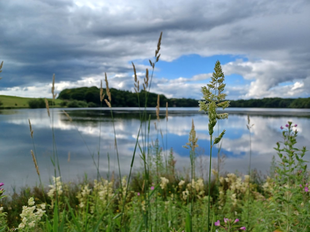 NorthPenninesNL's tweet photo. Watch the video of the accessible route around Talkin Tarn in #Cumbria and find out more about the route here: https://t.co/185gKeSHSu
#accessibleroute #NorthPenninesNationalLandscape @CumberlandCoun @HeritageFundNOR https://t.co/l8IRJ0Dg1k