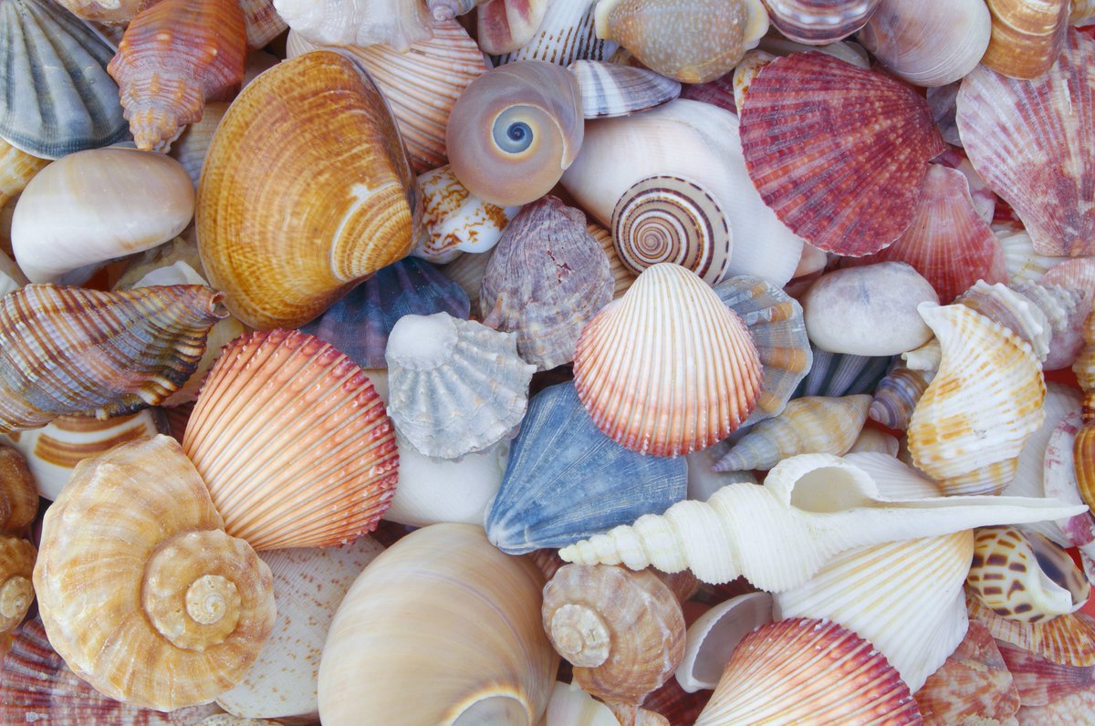 ultrafabrics's tweet image. Next week, unveil our color refresh to our Pumice collection.​
​Inspired by the mesmerizing beauty of the ocean&apos;s depths, the refreshed color palette brings forth a spectrum of colors that evoke the wonders of underwater exploration.​

#OutdoorLiving #DesignDurability