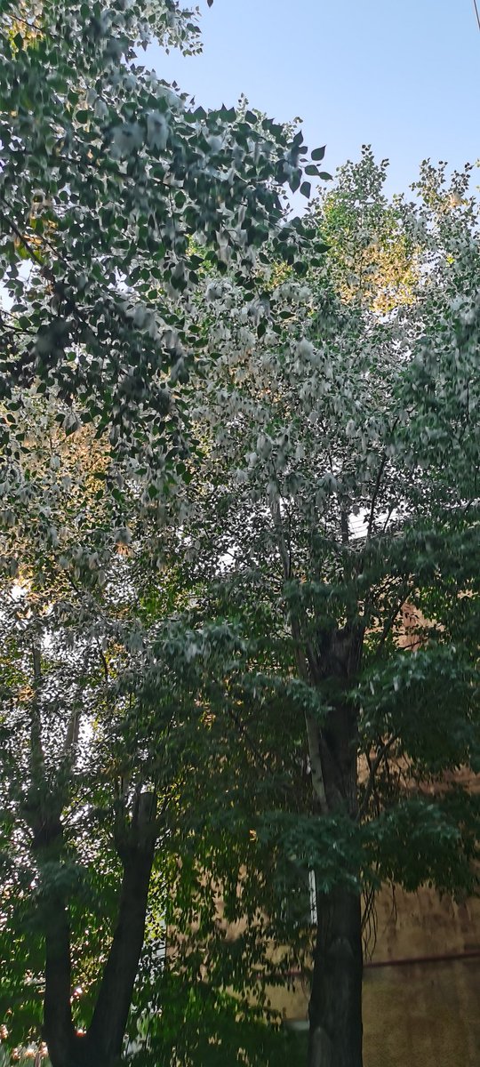 твой маленький Мордор 2.0 tweet media