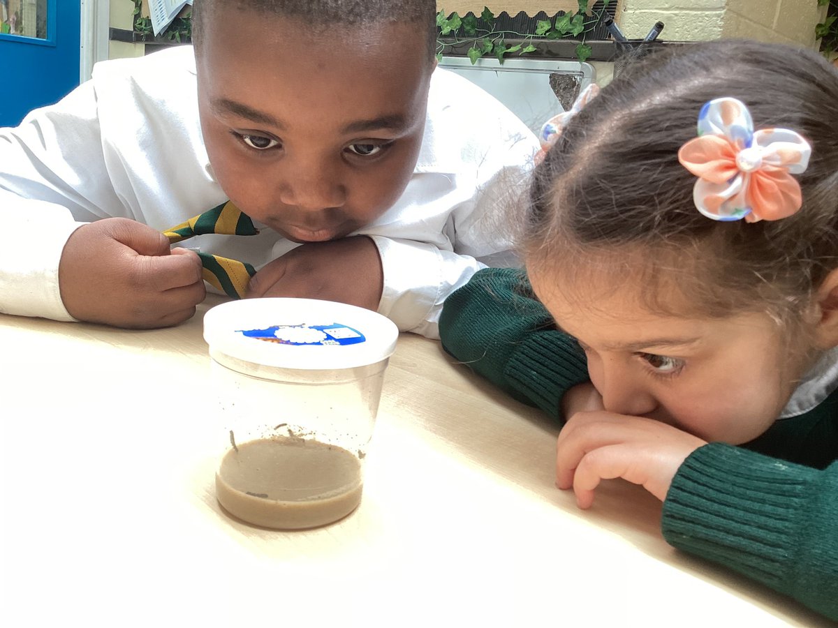 Reception tweet media