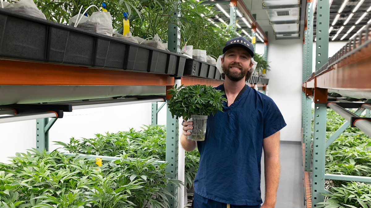 Cresco Labs (@crescolabs) on Twitter photo We’re proud to be recognized again in <a href="/CrainsChicago/">Crain's Chicago Business</a>'s list of the 50 fastest-growing companies in Chicago. We wouldn’t be here without our incredible team 💚 thank you! See the list here: tinyurl.com/yfh927ef We’re proud to be recognized again in <a href="/CrainsChicago/">Crain's Chicago Business</a>'s list of the 50 fastest-growing companies in Chicago. We wouldn’t be here without our incredible team 💚 thank you! See the list here: tinyurl.com/yfh927ef