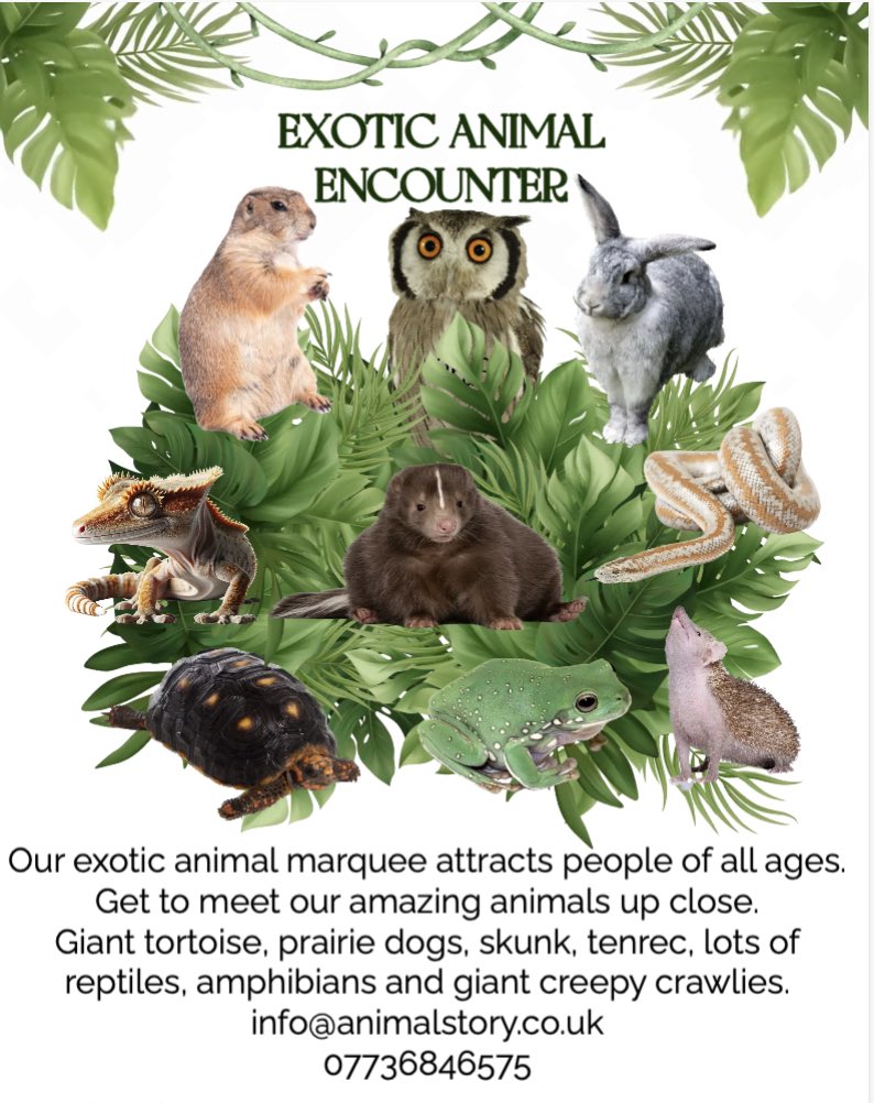 Animal Story (@animalstory2010) on Twitter photo 