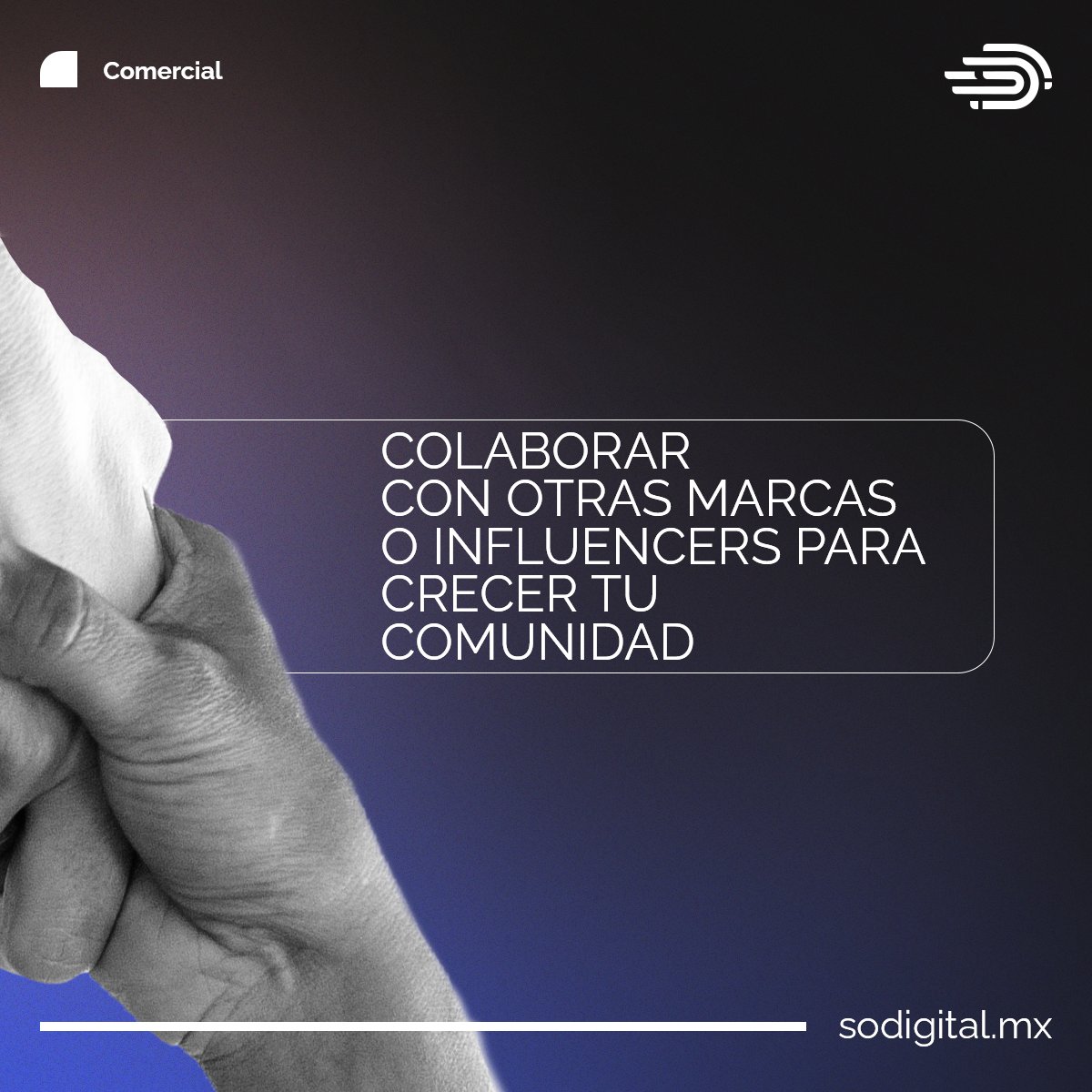 SoDigitalMx's tweet photo. #Publicidad #SEO #SEM https://t.co/UR6Sodn6ay