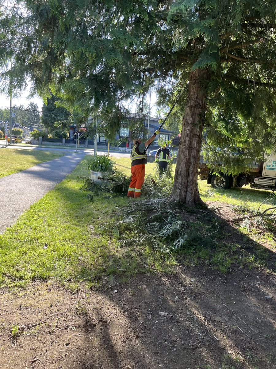 “The View From My Office”… <a href="/sd43bc/">School District 43</a> Coquitlam SD Grounds Crew working hard (and super early) to make our school grounds look great.  

Much gratitude!  

<a href="/PorterStreetEl1/">Porter Street Elementary</a>