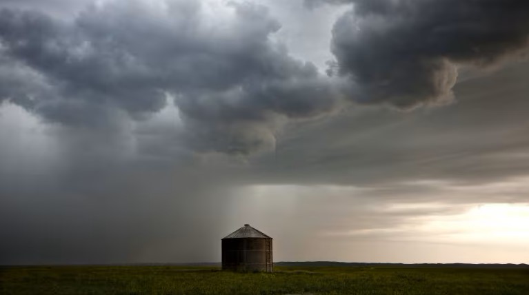 Has a storm struck your farm? Wall Grain works closely with insurance companies to replace and rebuild damage due to storms. If you or someone you know has an insurance claim Wall Grain is here to help.
wallgrain.com/contact
#wallgrain #grainbins #grainstorage #mbstorm