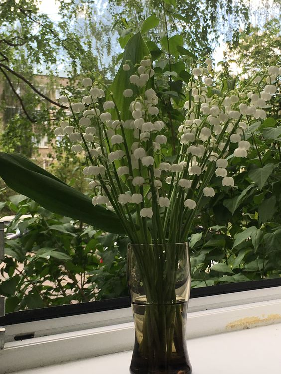 lavieestbelIe's tweet photo. Lily of the valley bouquet https://t.co/z6OEHbxm24