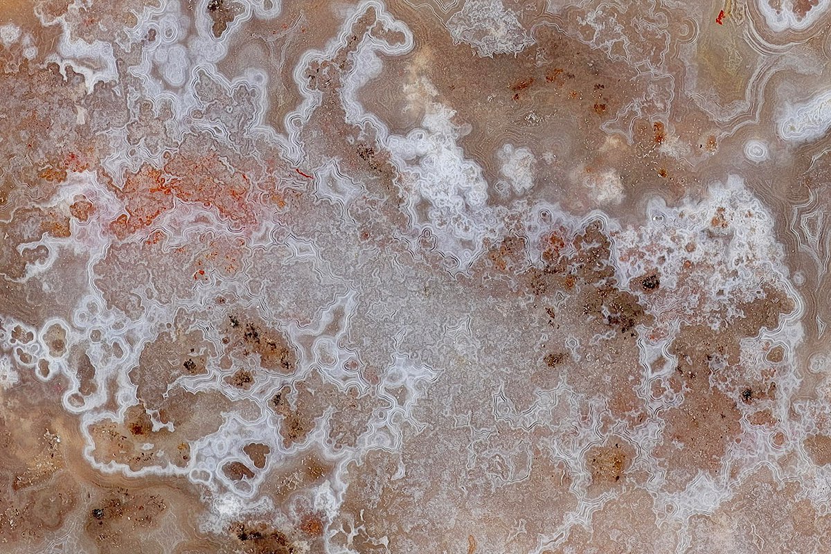 A particularly intricate Angus Coast piece, superbly photographed by Chris Harlow. 37/28mm