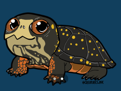 Tracy Rittenhouse tweet media