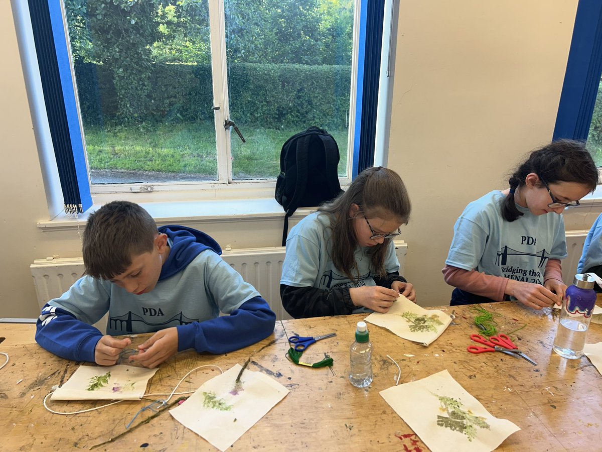 PHS Y6 Transition tweet media