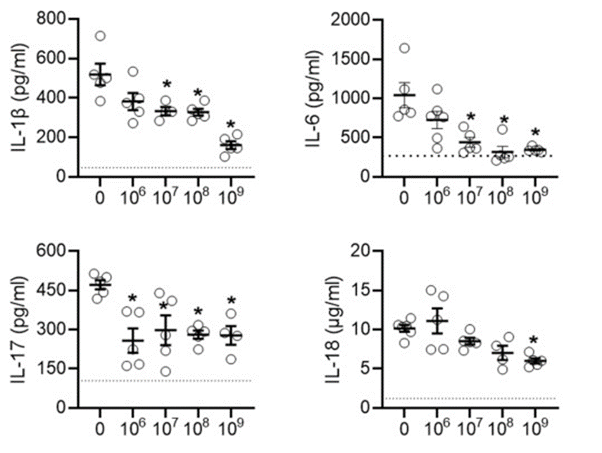 davis_ctrl's tweet image. Exciting news! 🌟 Injection of human extracellular vesicles acts like a drug to dose-dependently reduce the inflammatory cytokines that cause pericarditis. 🔗 doi:10.7150/thno.89520 #MedicalResearch #Cardiology #Inflammation #Pericarditis #InnovativeTherapy #AtrialFibrillation