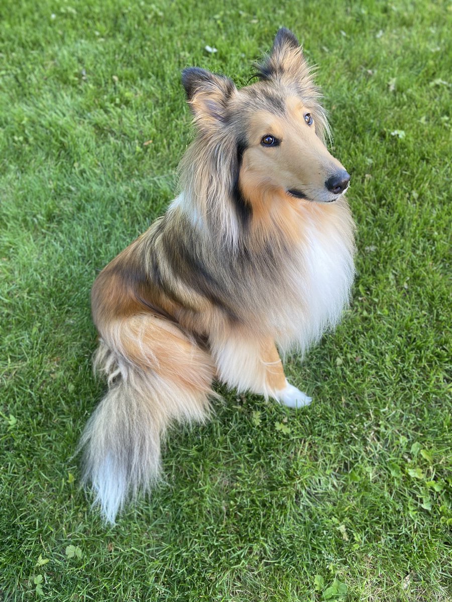 Peach has perfected the side eye