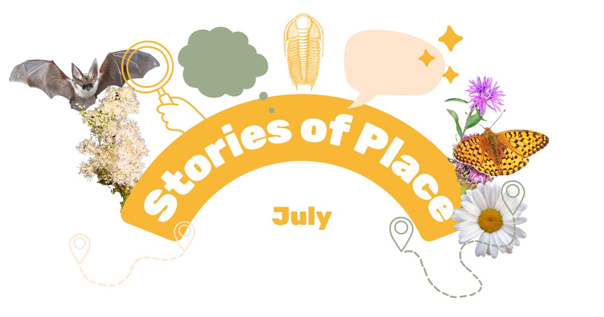 Dudley Creates tweet media