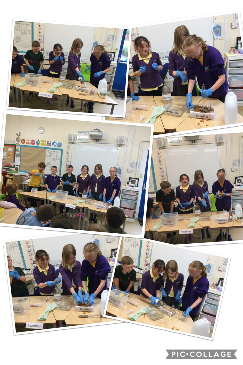 Dosbarth Aderyn tweet media