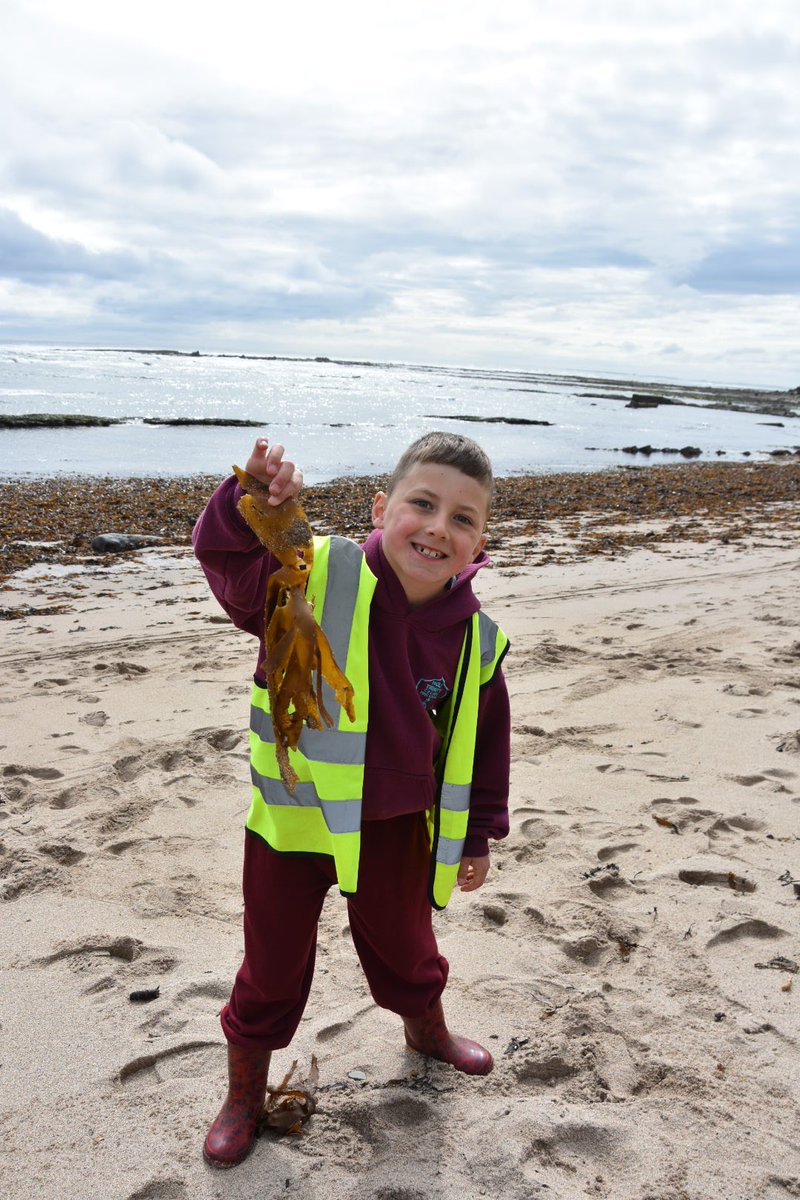 HtfsBerwick's tweet image. Class 4 had a great time at the beach examining the habitat of rock pools and litter picking to improve the environment. Thank you to Tweed Forum for their support. 😀🦀🚯#inquisitivethinkers #challengeseekers #kindhearts