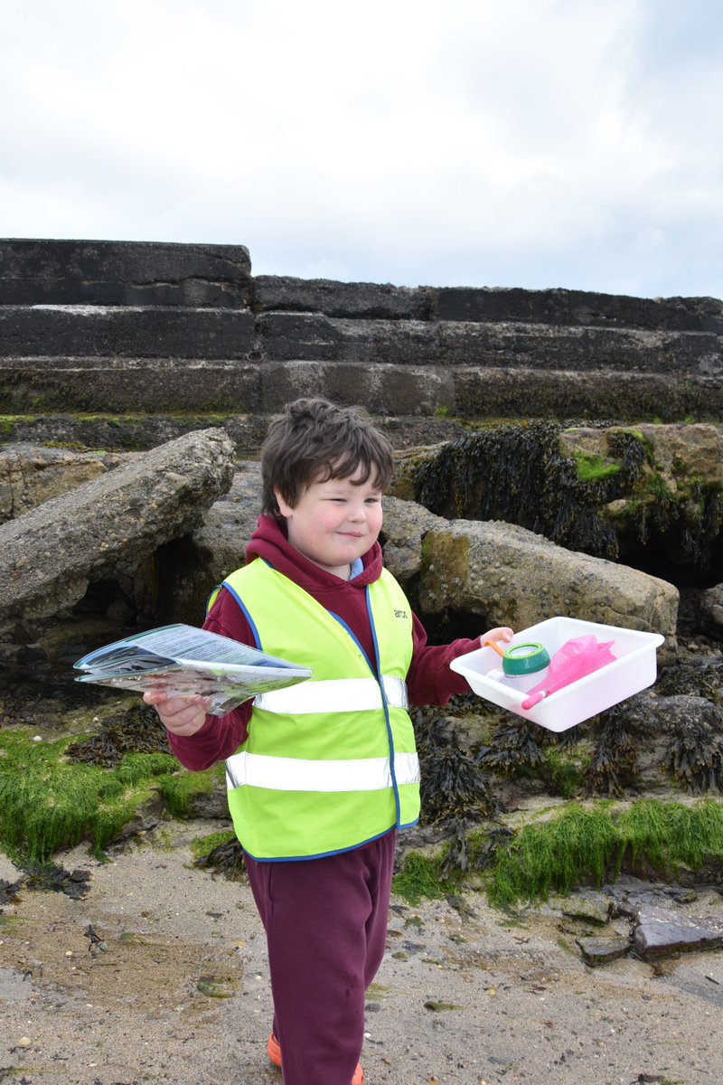 HtfsBerwick's tweet image. Class 4 had a great time at the beach examining the habitat of rock pools and litter picking to improve the environment. Thank you to Tweed Forum for their support. 😀🦀🚯#inquisitivethinkers #challengeseekers #kindhearts