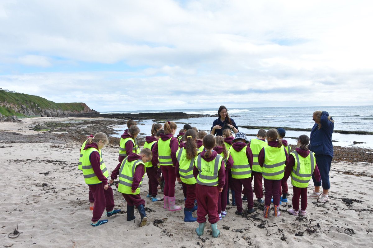HtfsBerwick's tweet image. Class 4 had a great time at the beach examining the habitat of rock pools and litter picking to improve the environment. Thank you to Tweed Forum for their support. 😀🦀🚯#inquisitivethinkers #challengeseekers #kindhearts