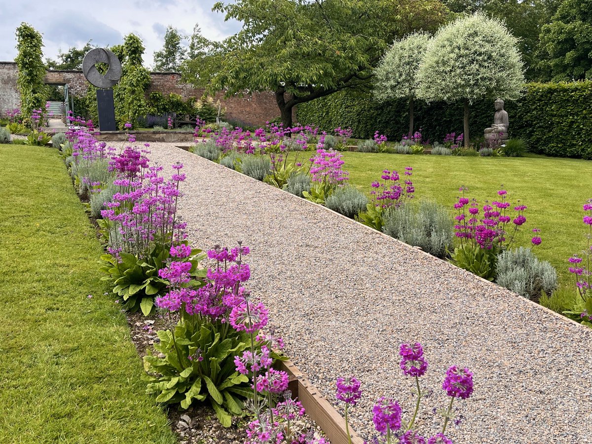 The_Hutts's tweet photo. The brightly coloured Candelabra Primulas are a joy to see dotted around the garden this month - with their cool pinks, purples &amp; tangy yellow &amp; orange hues. They grow particularly well along our damp streamside walks and lakes
#primulas #summergarden #sculpturepark #ripon https://t.co/epKqtA8yzj
